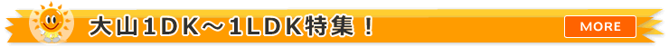 ��R1DK�`1LDK�̕������W